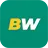 BetWinner